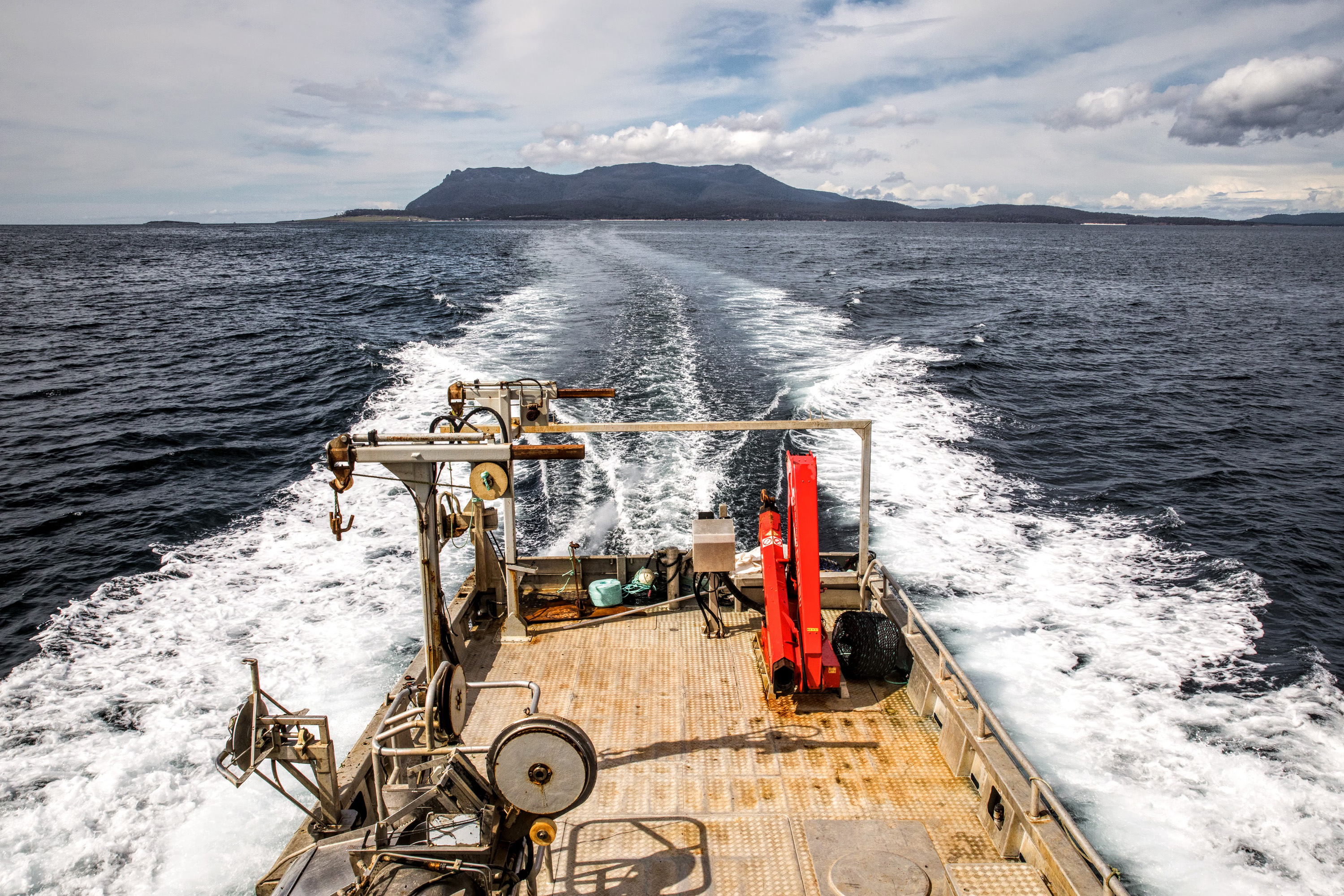 Sea Forest X 4 Pines